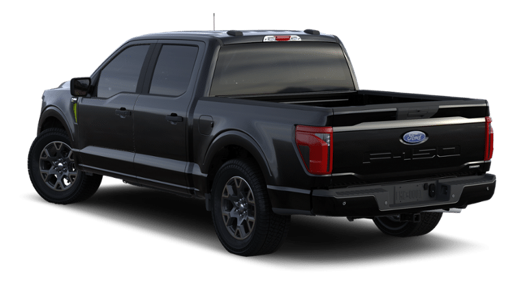 2024 Ford F-150 Vehicle Photo in Terrell, TX 75160